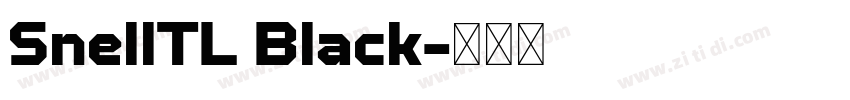 SnellTL Black字体转换 SnellTL Black字体转换